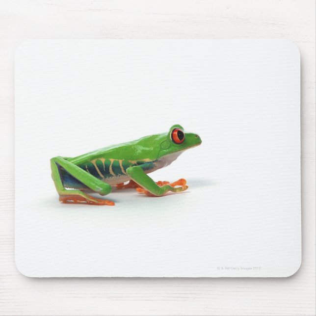 Red eyed tree frog mouse pad (Front)