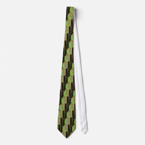 red_eyed tree frog neck tie