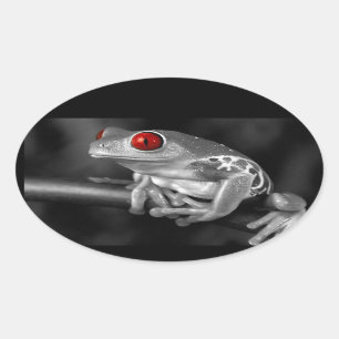 Red Eyed Tree Frog Oval Sticker
