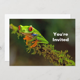 Red Eyed Tree Frog Photo Birthday Invitation