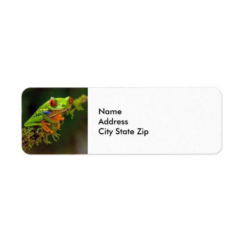 Red Eyed Tree Frog Photo Label