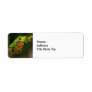 Red Eyed Tree Frog Photo Label