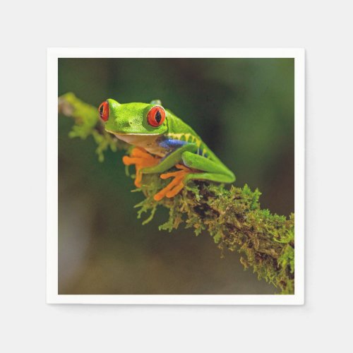 Red Eyed Tree Frog Photo Napkins