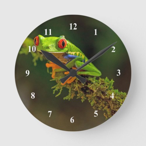 Red Eyed Tree Frog Photo Round Clock