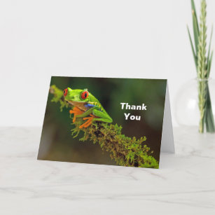 Red Eyed Tree Frog Photo Thank You Card
