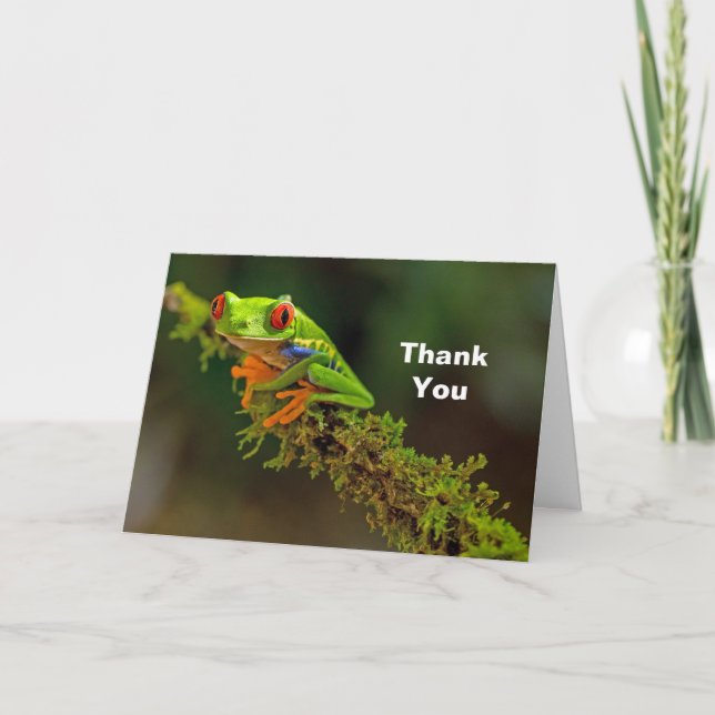 Red Eyed Tree Frog Photo Thank You Card (Front)