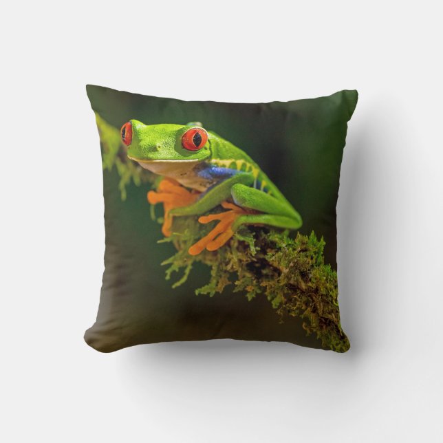 Red Eyed Tree Frog Photo Throw Pillow (Front)