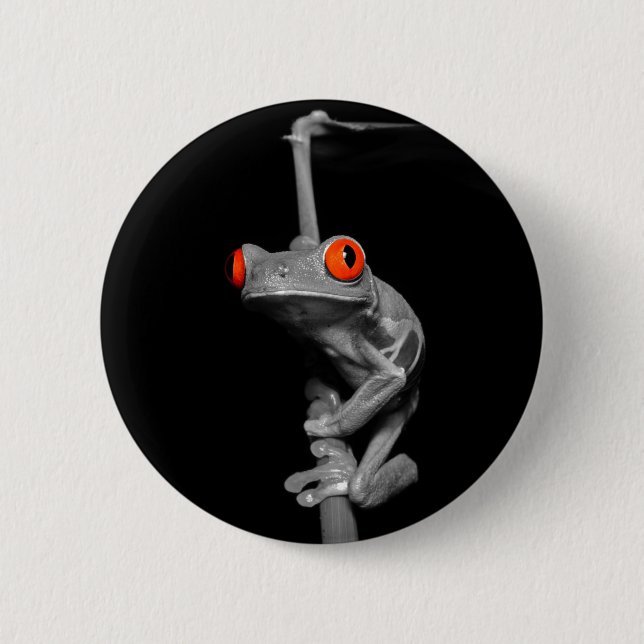 Red Eyed Tree Frog Pinback Button (Front)