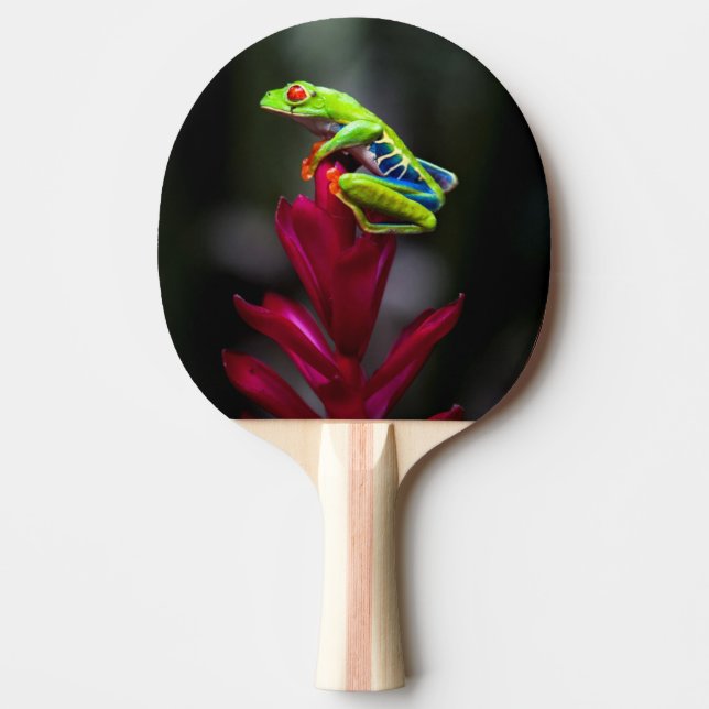 Red-eyed Tree Frog Ping-Pong Paddle (Front)