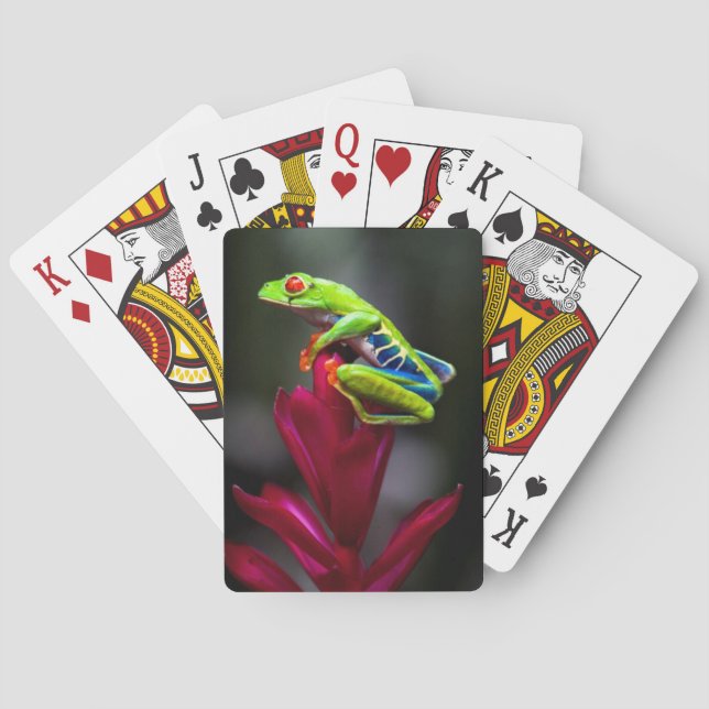 Red-eyed Tree Frog Poker Cards (Back)