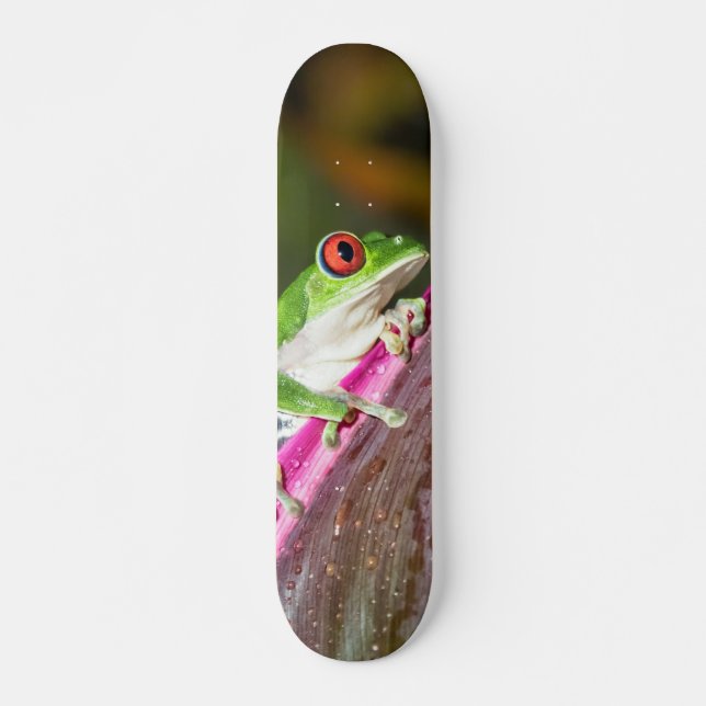Red-Eyed Tree Frog Skateboard (Front)