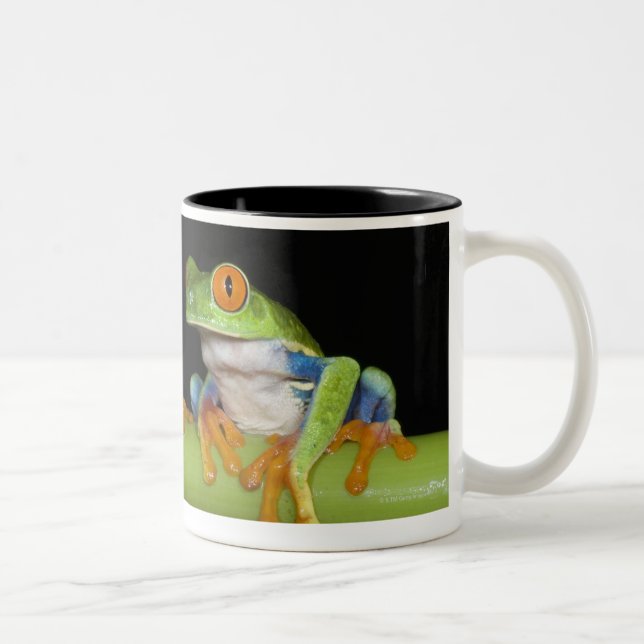 Red-eyed Tree Frogs (Agalychnis callidryas) Two-Tone Coffee Mug (Right)