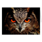 Red Eyes Eagle Owl (Front Horizontal)