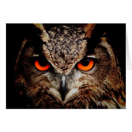 Red Eyes Eagle Owl Cards (Front Horizontal)