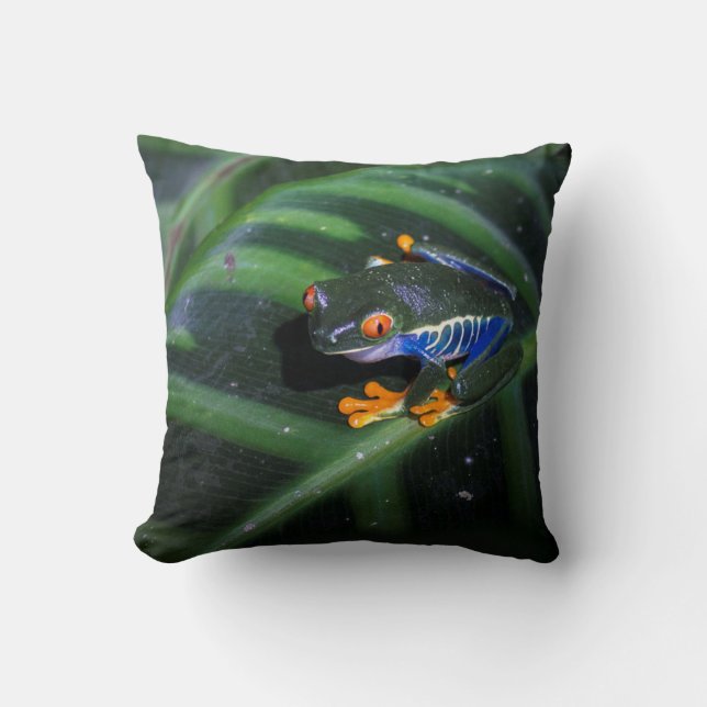 Red Eyes Frog On Leaf Throw Pillow (Front)