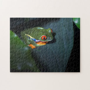 Red Eyes Frog Sitting Jigsaw Puzzle