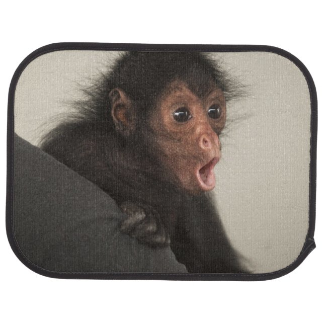 Red-faced Spider Monkey Ateles paniscus) Car Mat (Rear)