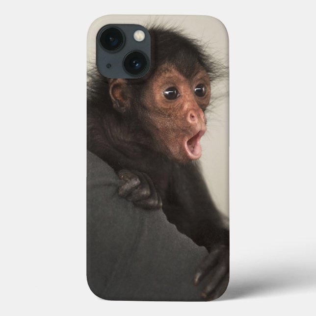 Red-faced Spider Monkey Ateles paniscus) Case-Mate iPhone Case (Back)