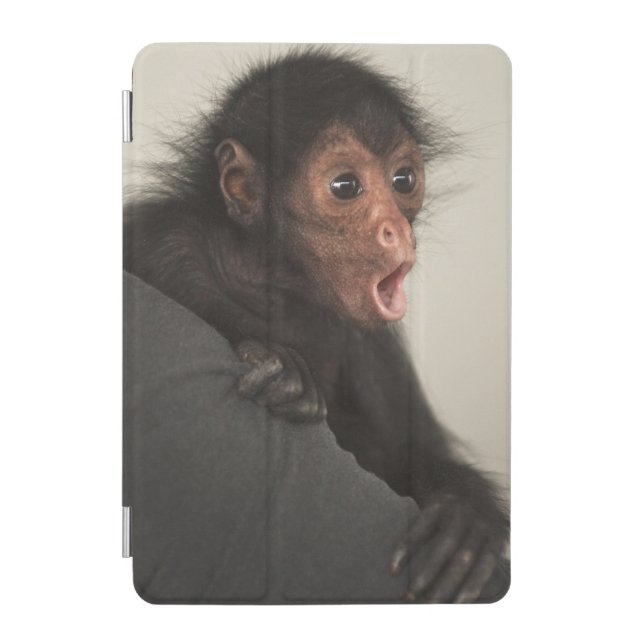 Red-faced Spider Monkey Ateles paniscus) iPad Mini Cover (Front)