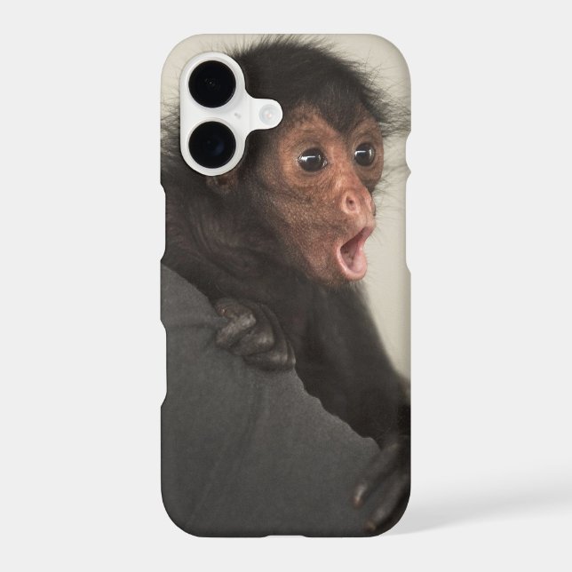 Red-faced Spider Monkey Ateles paniscus) Iphone Case (Back)