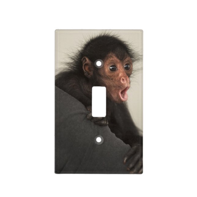 Red-faced Spider Monkey Ateles paniscus) Light Switch Cover (Front)