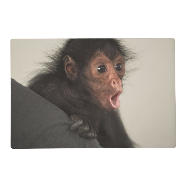 Red-faced Spider Monkey Ateles paniscus) Placemat (Front)