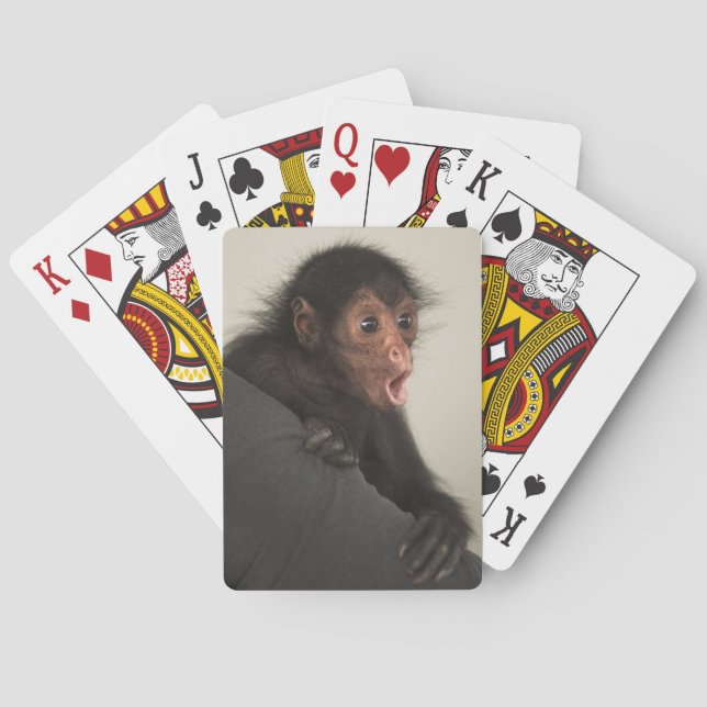 Red-faced Spider Monkey Ateles paniscus) Poker Cards (Back)