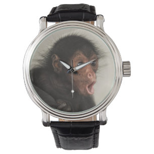 Red-faced Spider Monkey Ateles paniscus) Watch