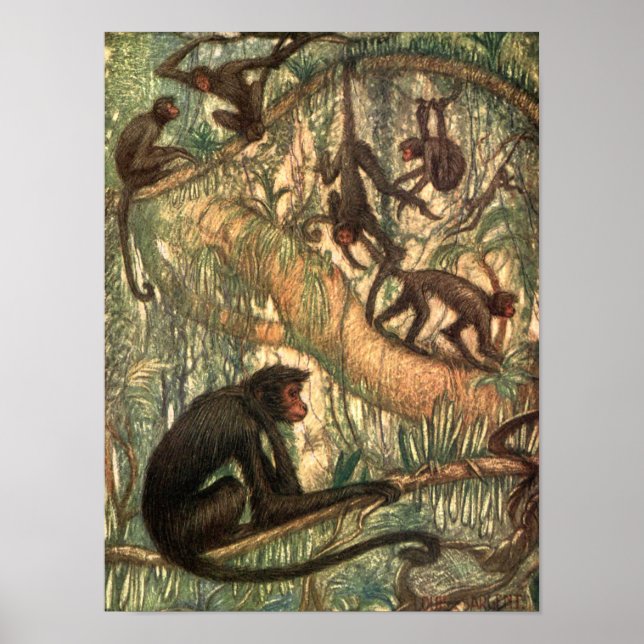 Red Faced Spider Monkeys by Louis Sargent Poster (Front)