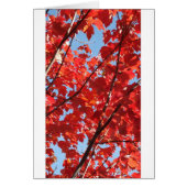 Red Fall Cards (Front)