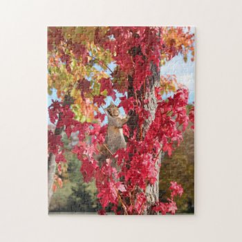Red Fall Foliage With Squirrel Jigsaw Puzzle by deemac1 at Zazzle