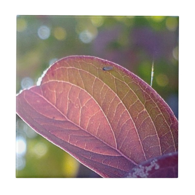 Red Fall Leaf And Bokeh Ceramic Tile (Front)