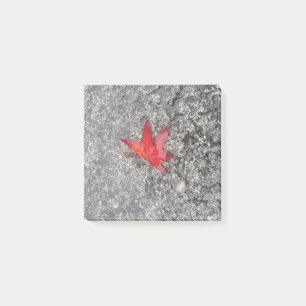 Red fall leaf in rain on grey textured road post-it notes