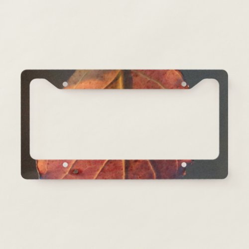 Red fall leaf license plate frame
