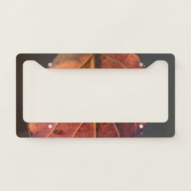 Red fall leaf license plate frame (Front)