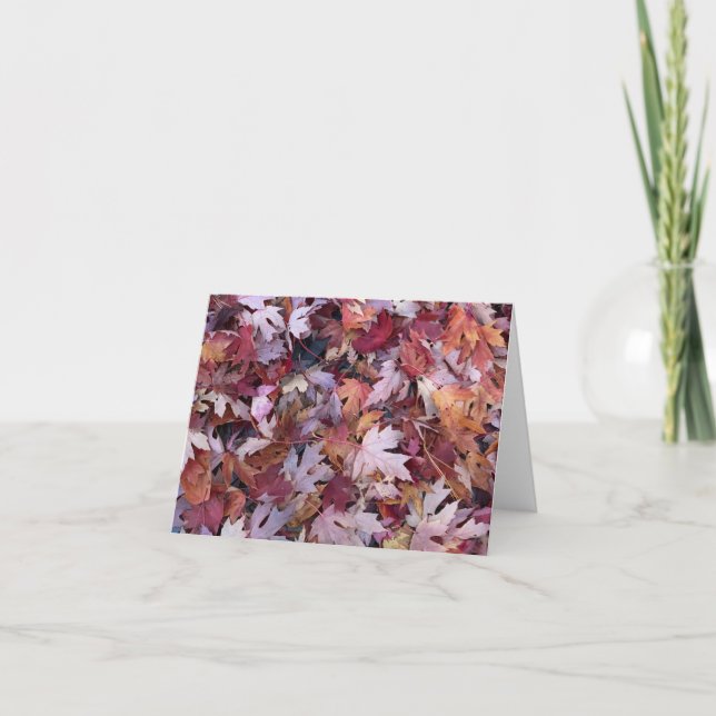 Red Fall Leaves Blank Note Thank You Card (Front)