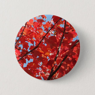 Red Fall Pinback Button