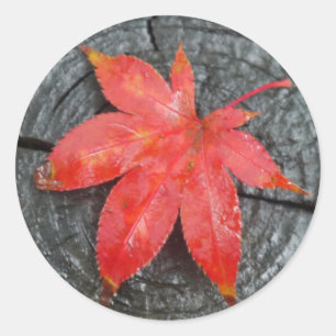 Red Fall Rustic Red Maple Leaf Envelope Seals