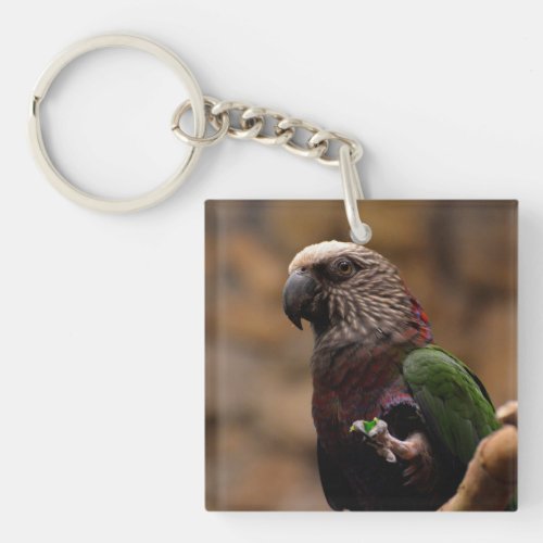 Red Fan Parrot Keychain