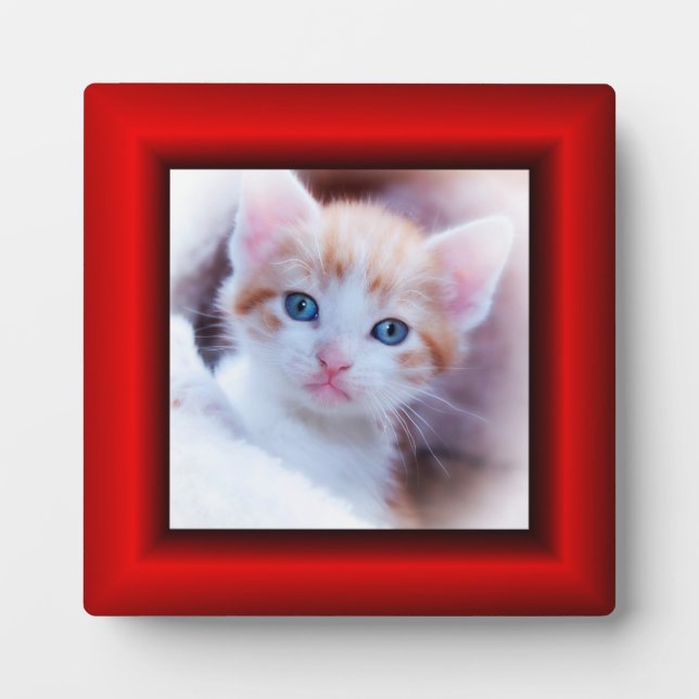 Red Faux Frame Square Photo Border (Front)