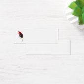 Red feather pen with gold nib (Desk)