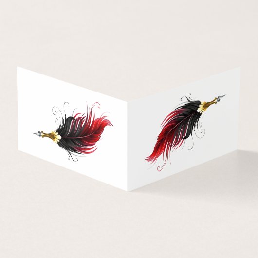 Red feather pen with gold nib (Outside)