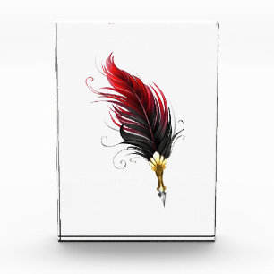 Red feather pen with gold nib photo block