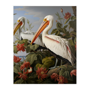 Red Feathers in the Cajun Current Acrylic Print