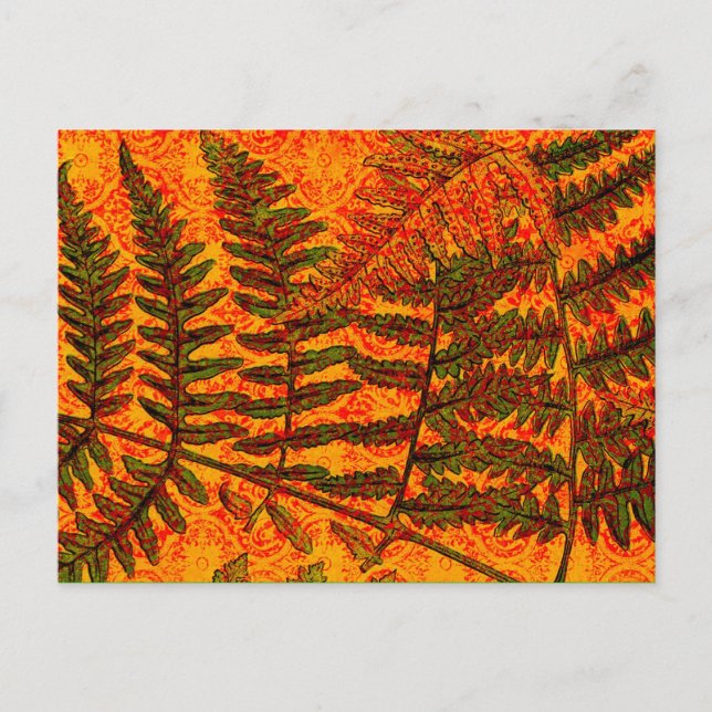 Red Fern postcard (Front)