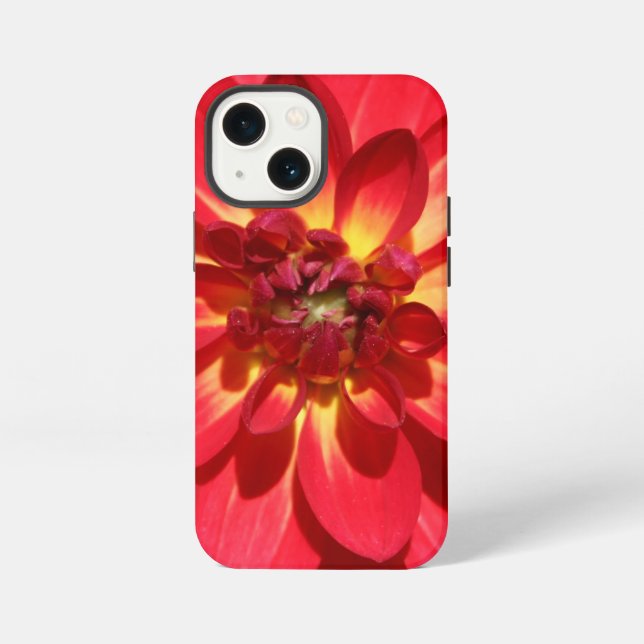 Red Fire Dahlia Flower Iphone Case (Back)