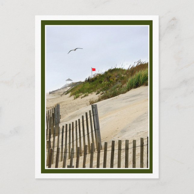 Red Flag On the Dunes Postcard (Front)