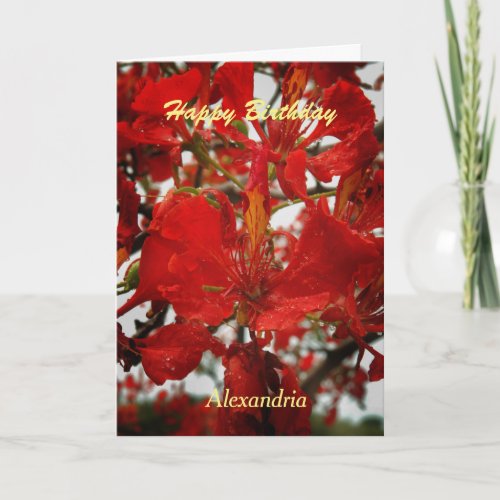 Red Flamboyant Flowers Floral Birthday Custom Card