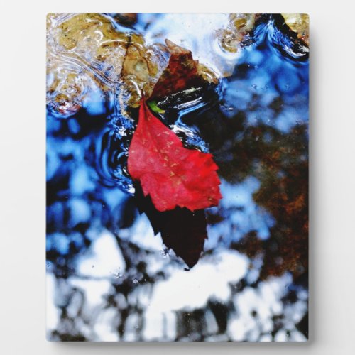 Red floating fall leaf with reflection of blue sky plaque