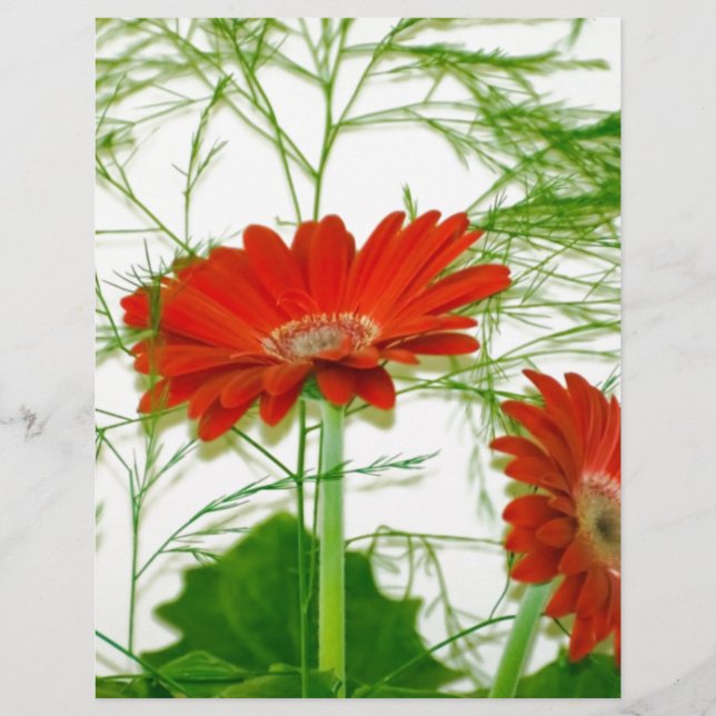 Red Floral (Front)